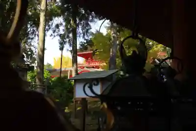 春日大社(奈良県)