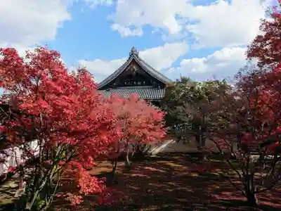 妙覺寺（妙覚寺）のその他建物