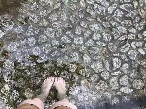 賀茂御祖神社（下鴨神社）の庭園