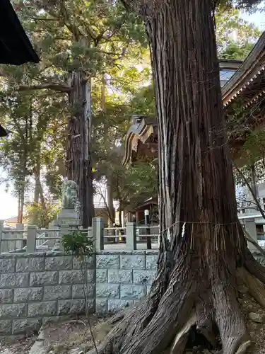 艫神社(茨城県)