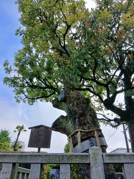 安国院の{uncategorized: "未分類", other: "その他", undefined: "問題あり", building: "その他建物", grave: "お墓", sacred_gate: "鳥居", guardian: "狛犬", statue: "像", buddha: "仏像", history: "歴史", nature: "自然", garden: "庭園", animal: "動物", pagoda: "塔", temizu: "手水舎", mountain_gate: "山門・神門", sanctuary: "本殿・本堂", subordinate: "末社・摂社", art: "芸術", scenery: "景色", jizo: "地蔵", ema: "絵馬", goshuin: "御朱印", omikuji: "おみくじ", items: "授与品その他", amulet: "お守り", goshuincho: "御朱印帳", eats: "食事", festival: "お祭り", votive_dance: "神楽", shichigosan: "七五三参", wedding: "結婚式", experience: "体験その他", initially: "初詣", around: "周辺", anti_infection: "感染症対策"}