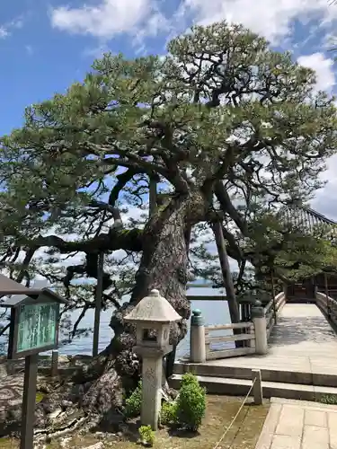 満月寺（浮御堂）の庭園