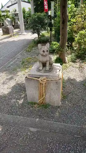 阿豆佐味天神社 立川水天宮の狛犬