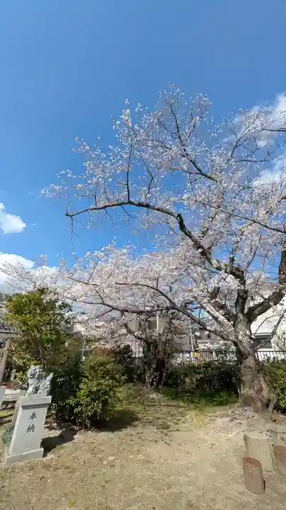 柊社(比良木社)(京都府)