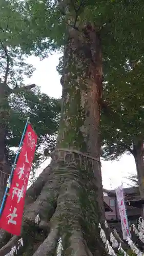 八枝神社の自然