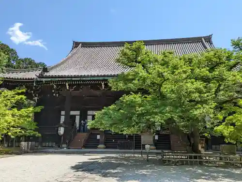 真正極楽寺（真如堂）の本殿・本堂