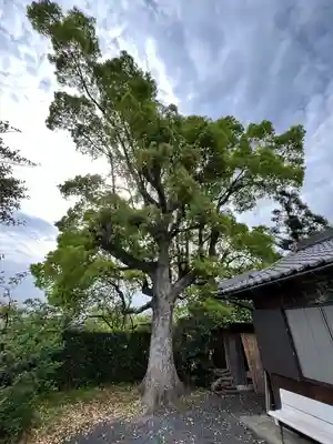 光三寶荒神社(和歌山県)
