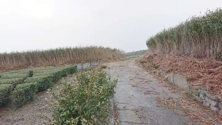 桃澤神社(愛鷹明神)中宮(静岡県)
