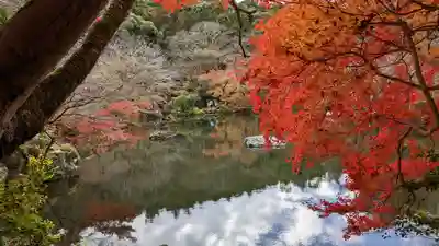 醍醐寺(京都府)