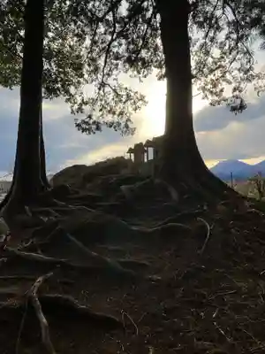 琴平神社(栃木県)