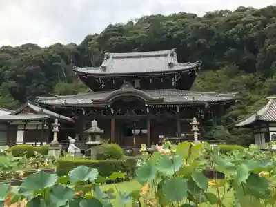 三室戸寺の本殿・本堂