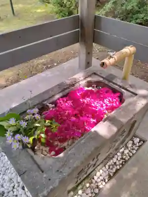 北広島市総鎮守 廣島神社の手水舎