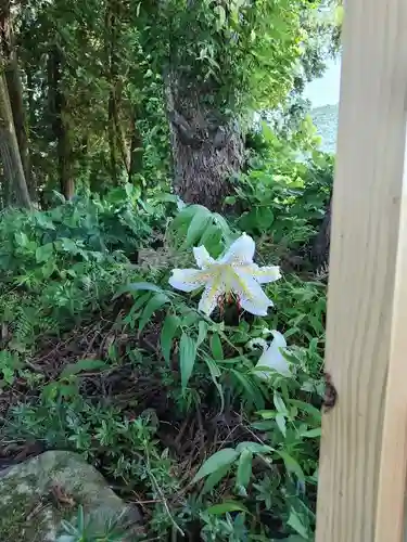 岩上神社(福島県)
