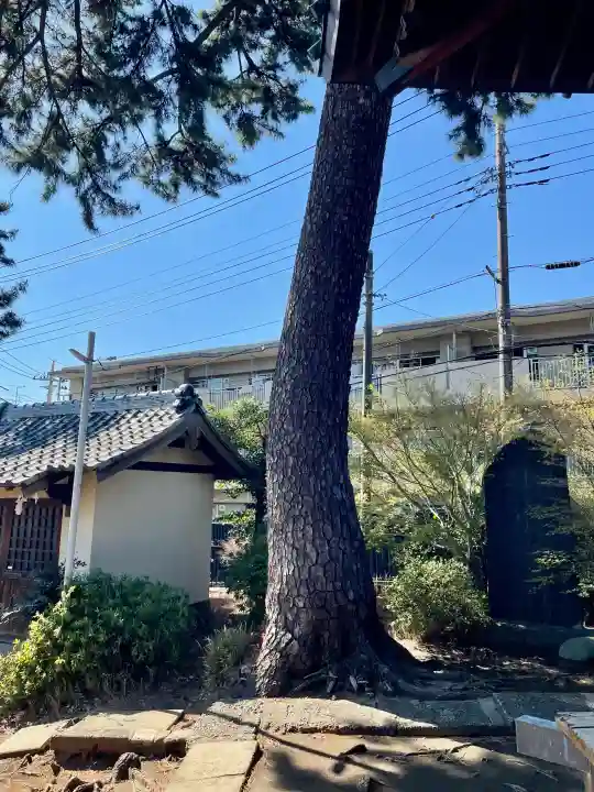 東伏見氷川神社の{uncategorized: "未分類", other: "その他", undefined: "問題あり", building: "その他建物", grave: "お墓", sacred_gate: "鳥居", guardian: "狛犬", statue: "像", buddha: "仏像", history: "歴史", nature: "自然", garden: "庭園", animal: "動物", pagoda: "塔", temizu: "手水舎", mountain_gate: "山門・神門", sanctuary: "本殿・本堂", subordinate: "末社・摂社", art: "芸術", scenery: "景色", jizo: "地蔵", ema: "絵馬", goshuin: "御朱印", omikuji: "おみくじ", items: "授与品その他", amulet: "お守り", goshuincho: "御朱印帳", eats: "食事", festival: "お祭り", votive_dance: "神楽", shichigosan: "七五三参", wedding: "結婚式", experience: "体験その他", initially: "初詣", around: "周辺", anti_infection: "感染症対策"}