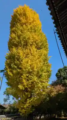 穴太寺(京都府)