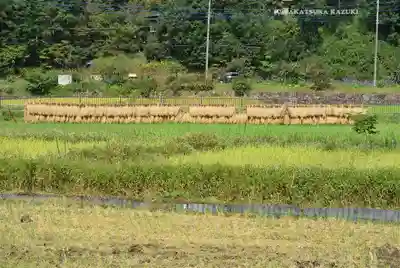 熊野神社(神奈川県)