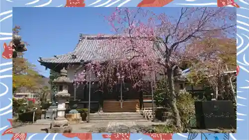 大蔵院(群馬県)