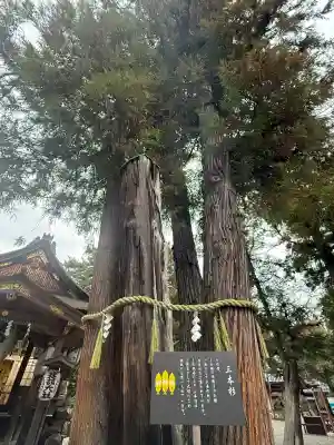 建部大社(滋賀県)