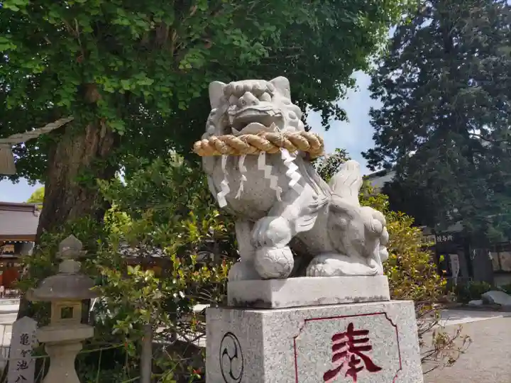 亀ケ池八幡宮(神奈川県)