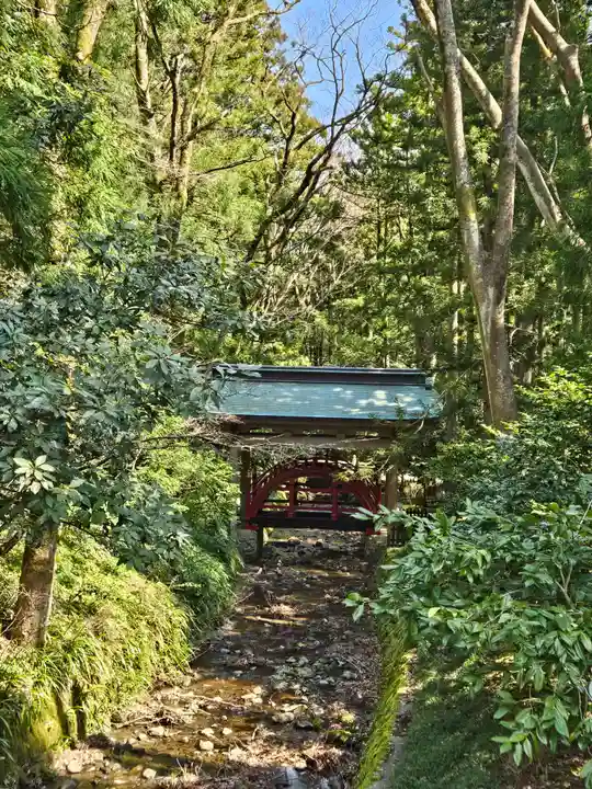 彌彦神社(新潟県)