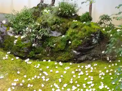 東林院(京都府)