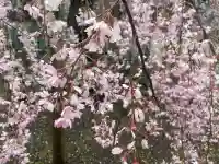 大國魂神社の{uncategorized: "未分類", other: "その他", undefined: "問題あり", building: "その他建物", grave: "お墓", sacred_gate: "鳥居", guardian: "狛犬", statue: "像", buddha: "仏像", history: "歴史", nature: "自然", garden: "庭園", animal: "動物", pagoda: "塔", temizu: "手水舎", mountain_gate: "山門・神門", sanctuary: "本殿・本堂", subordinate: "末社・摂社", art: "芸術", scenery: "景色", jizo: "地蔵", ema: "絵馬", goshuin: "御朱印", omikuji: "おみくじ", items: "授与品その他", amulet: "お守り", goshuincho: "御朱印帳", eats: "食事", festival: "お祭り", votive_dance: "神楽", shichigosan: "七五三参", wedding: "結婚式", experience: "体験その他", initially: "初詣", around: "周辺", anti_infection: "感染症対策"}