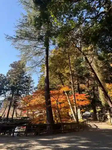 柳津虚空蔵尊 寳性院の{uncategorized: "未分類", other: "その他", undefined: "問題あり", building: "その他建物", grave: "お墓", sacred_gate: "鳥居", guardian: "狛犬", statue: "像", buddha: "仏像", history: "歴史", nature: "自然", garden: "庭園", animal: "動物", pagoda: "塔", temizu: "手水舎", mountain_gate: "山門・神門", sanctuary: "本殿・本堂", subordinate: "末社・摂社", art: "芸術", scenery: "景色", jizo: "地蔵", ema: "絵馬", goshuin: "御朱印", omikuji: "おみくじ", items: "授与品その他", amulet: "お守り", goshuincho: "御朱印帳", eats: "食事", festival: "お祭り", votive_dance: "神楽", shichigosan: "七五三参", wedding: "結婚式", experience: "体験その他", initially: "初詣", around: "周辺", anti_infection: "感染症対策"}