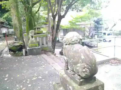 若一王子宮の狛犬