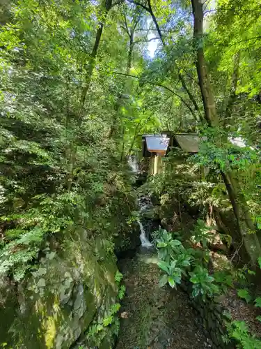 多度大社の自然