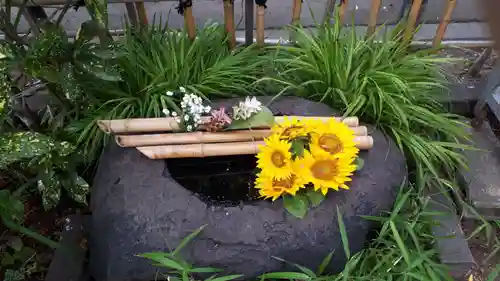 新琴似神社の手水舎
