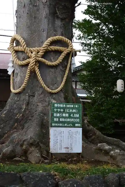 八坂神社(神奈川県)