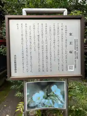 金王八幡宮(東京都)