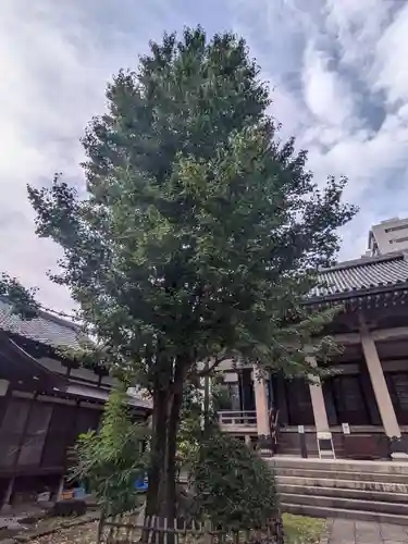 報恩寺(東京都)