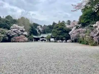栃木縣護國神社の{uncategorized: "未分類", other: "その他", undefined: "問題あり", building: "その他建物", grave: "お墓", sacred_gate: "鳥居", guardian: "狛犬", statue: "像", buddha: "仏像", history: "歴史", nature: "自然", garden: "庭園", animal: "動物", pagoda: "塔", temizu: "手水舎", mountain_gate: "山門・神門", sanctuary: "本殿・本堂", subordinate: "末社・摂社", art: "芸術", scenery: "景色", jizo: "地蔵", ema: "絵馬", goshuin: "御朱印", omikuji: "おみくじ", items: "授与品その他", amulet: "お守り", goshuincho: "御朱印帳", eats: "食事", festival: "お祭り", votive_dance: "神楽", shichigosan: "七五三参", wedding: "結婚式", experience: "体験その他", initially: "初詣", around: "周辺", anti_infection: "感染症対策"}