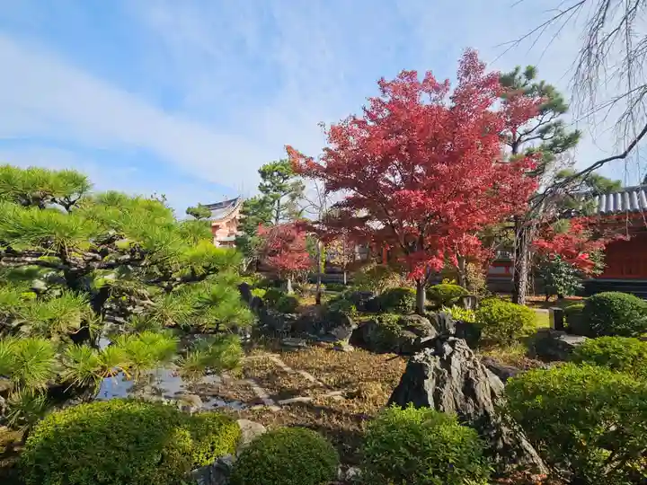 蓮華王院(三十三間堂)(京都府)