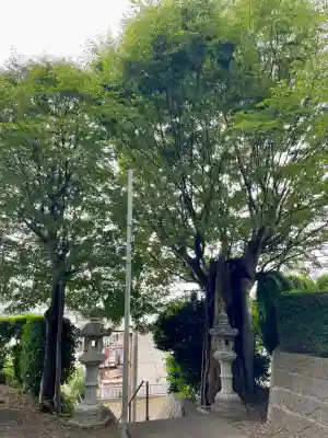 国分寺（相模國分寺）(神奈川県)