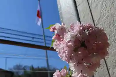 大鏑神社の授与品その他