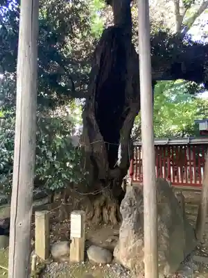 金王八幡宮(東京都)