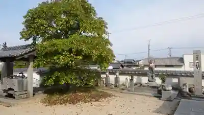 泰山寺(愛媛県)