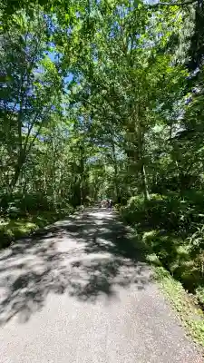 戸隠神社奥社(長野県)