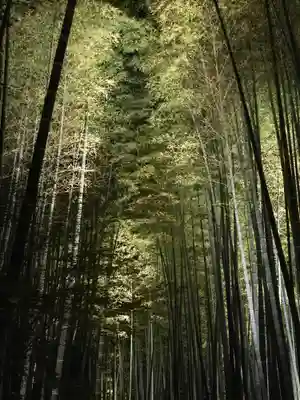 高台寺（高台寿聖禅寺・高臺寺）(京都府)