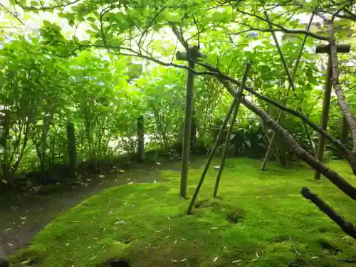 安國論寺（安国論寺）の庭園