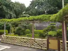 林光寺の庭園