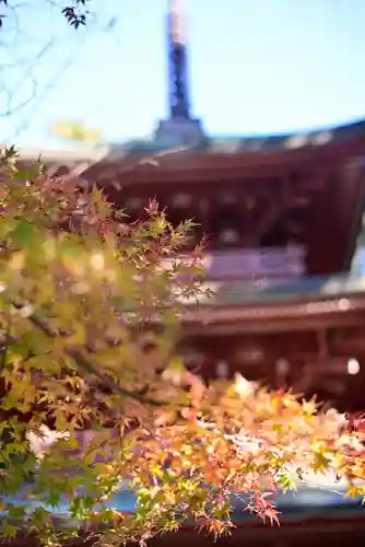 目の霊山　油山寺(静岡県)