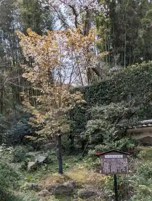 當麻寺中之坊(奈良県)