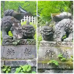 戸隠神社奥社の狛犬