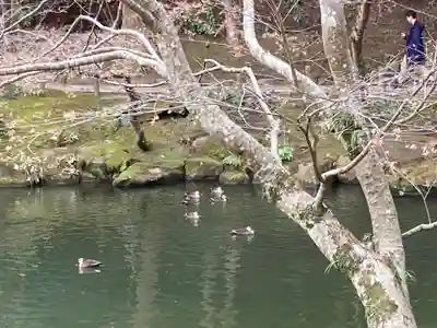 成田山新勝寺(千葉県)