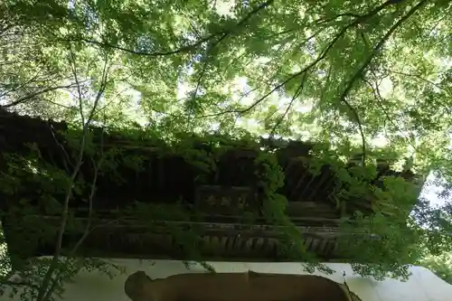 仙琳寺(滋賀県)