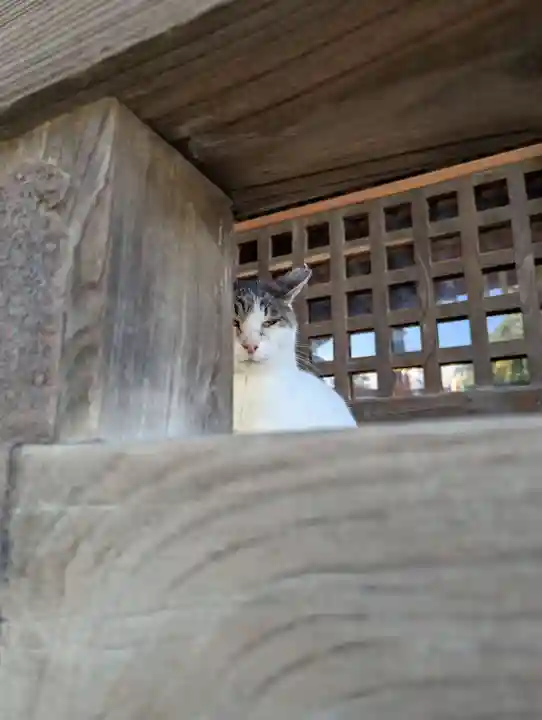 櫻山神社(岩手県)