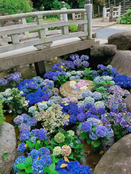 岡寺(龍蓋寺)(奈良県)